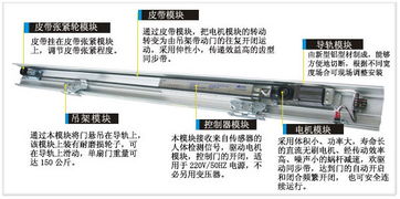 市場調查 世杰自動門中山分公司的品牌定位與生產供應商競爭力分析